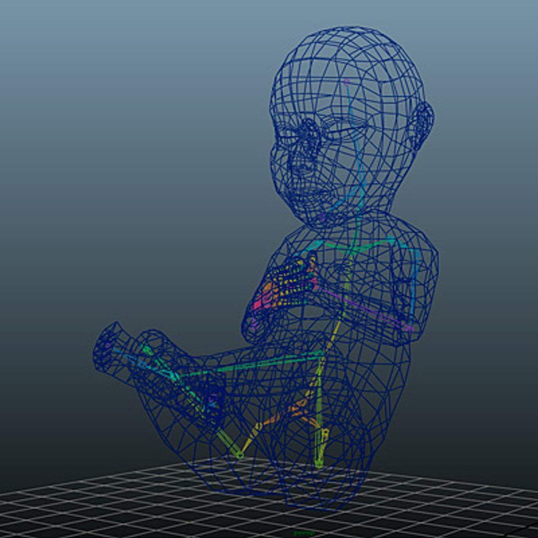 3d Model Of Fetus Animate Rigged