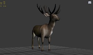3ds max deer