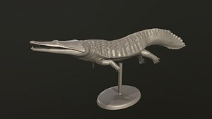 Trematosaurus 3D print model