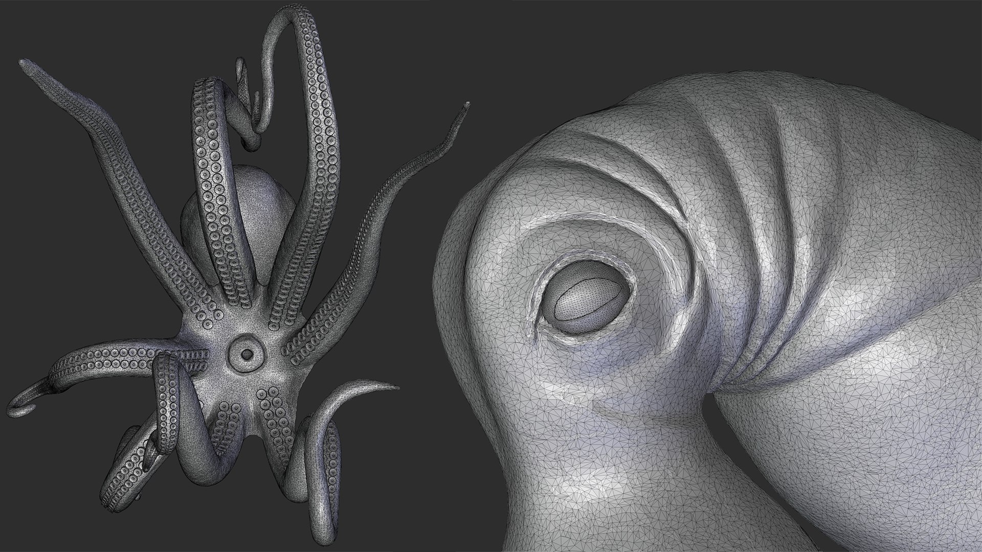Octopus 3D https://p.turbosquid.com/ts-thumb/Lm/rY02uw/3a/7a/png/1661936055/1920x1080/fit_q87/3773d7bc7d14d38e523ab2c3d2a74bc8787b2a43/7a.jpg