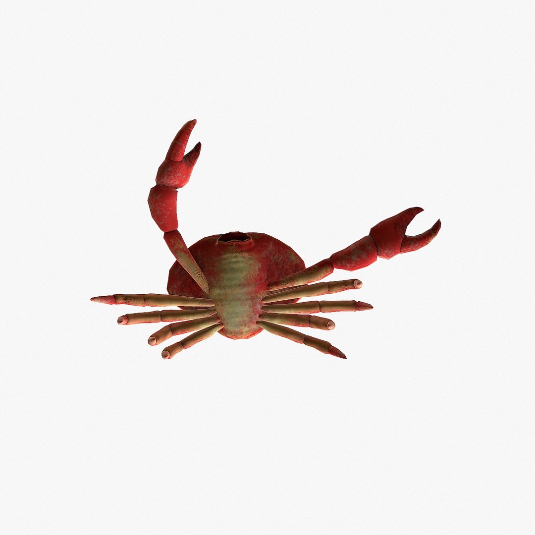 3D crab rigged https://p.turbosquid.com/ts-thumb/Lm/vO5ca1/HO4EAdbe/crab3/jpg/1528132207/1920x1080/fit_q87/f27d6bb41e98f34e48d9848d89eebfce2bffd8b3/crab3.jpg