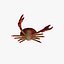 Crab