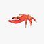 Crab