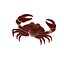 Crab