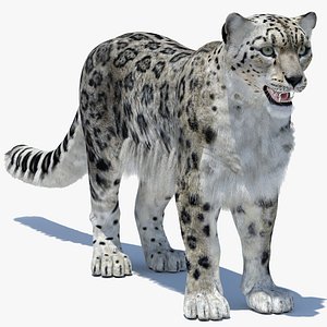 Snow Leopard 2 - Polygonal Hairs