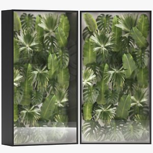 3D Vertical Garden From Plant Branches In A Phytobox model