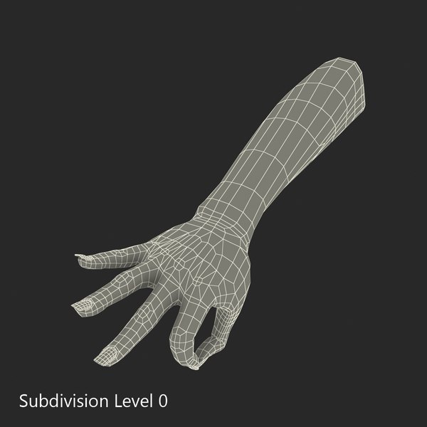 3d Female Hand 3 Pose Model