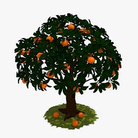 Orange Tree