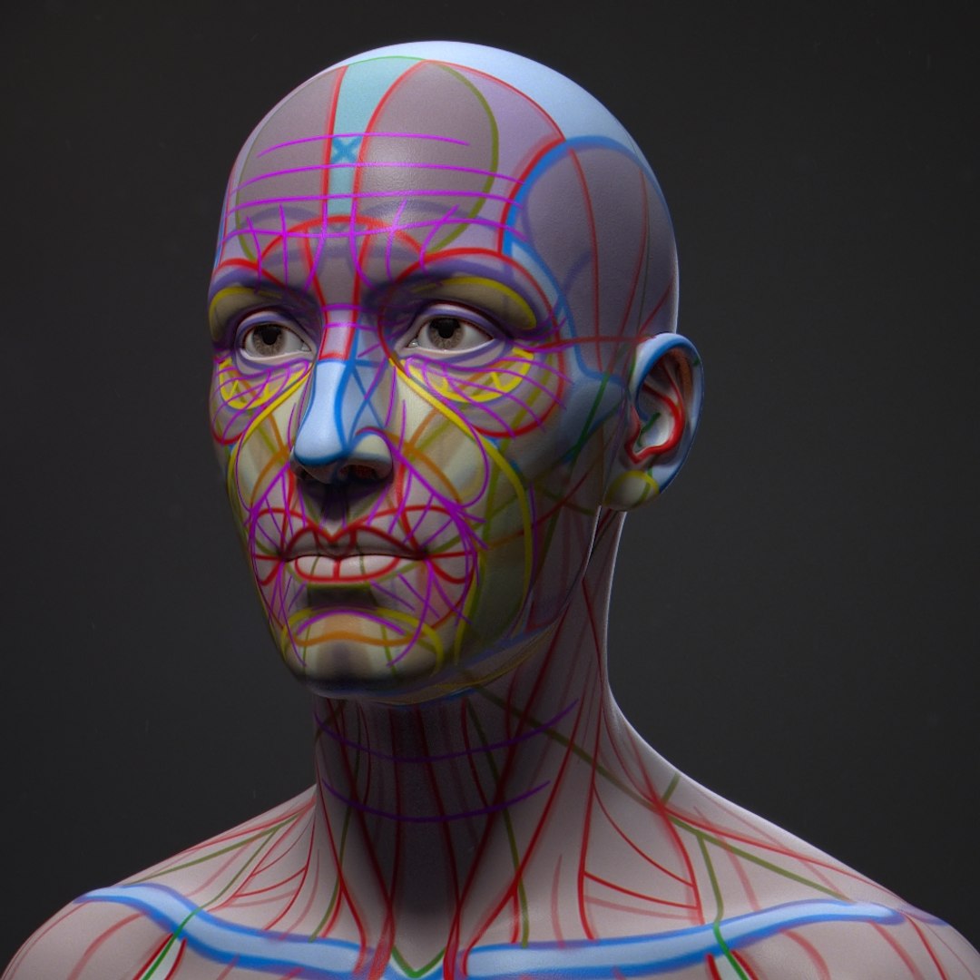 3D model human bust portrait https://p.turbosquid.com/ts-thumb/Ln/jowpww/0EqD6im4/mask_06/jpg/1594966027/1920x1080/fit_q87/c46cc083dd4fe657b88c5d19772033078ab63dd2/mask_06.jpg