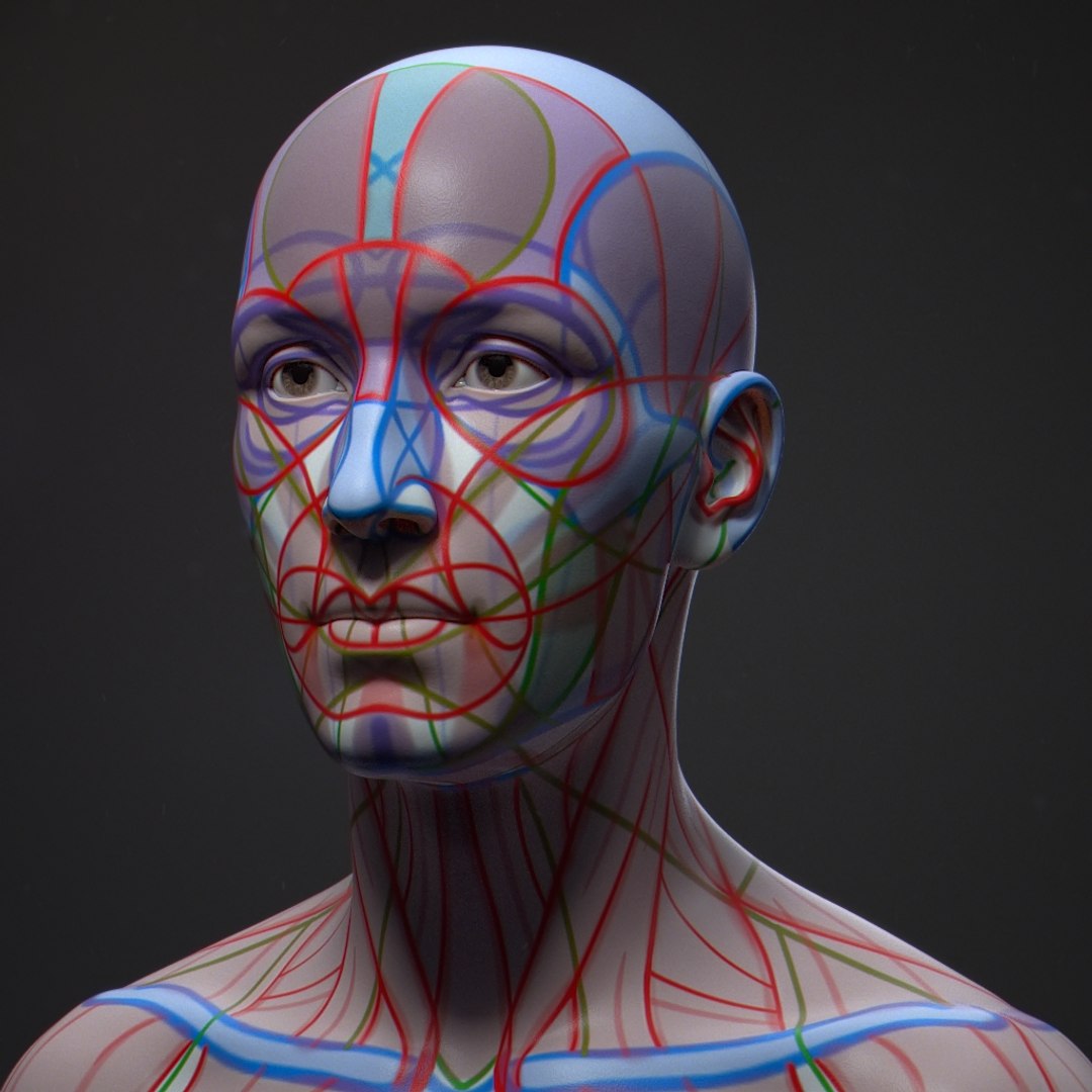 3D model human bust portrait https://p.turbosquid.com/ts-thumb/Ln/jowpww/5Z5Jlcv4/mask_04/jpg/1594965980/1920x1080/fit_q87/e8f33bc3ffe0675daa9e64e09121f6c50321bdec/mask_04.jpg