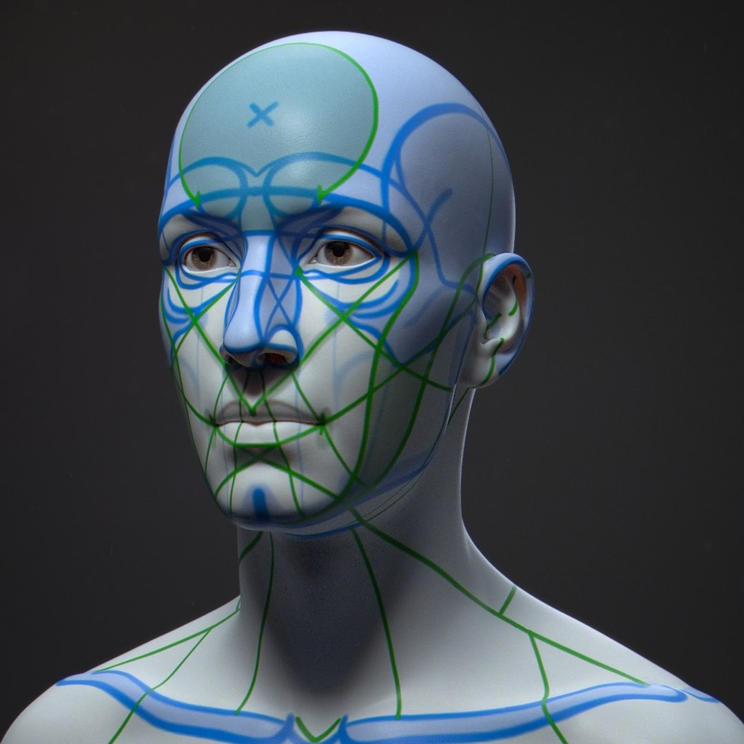 3D model human bust portrait https://p.turbosquid.com/ts-thumb/Ln/jowpww/KczlOApO/mask_03/jpg/1594965970/1920x1080/fit_q87/3dd06e8c15c0f0a94e5e4098edc82ab8edc9422d/mask_03.jpg