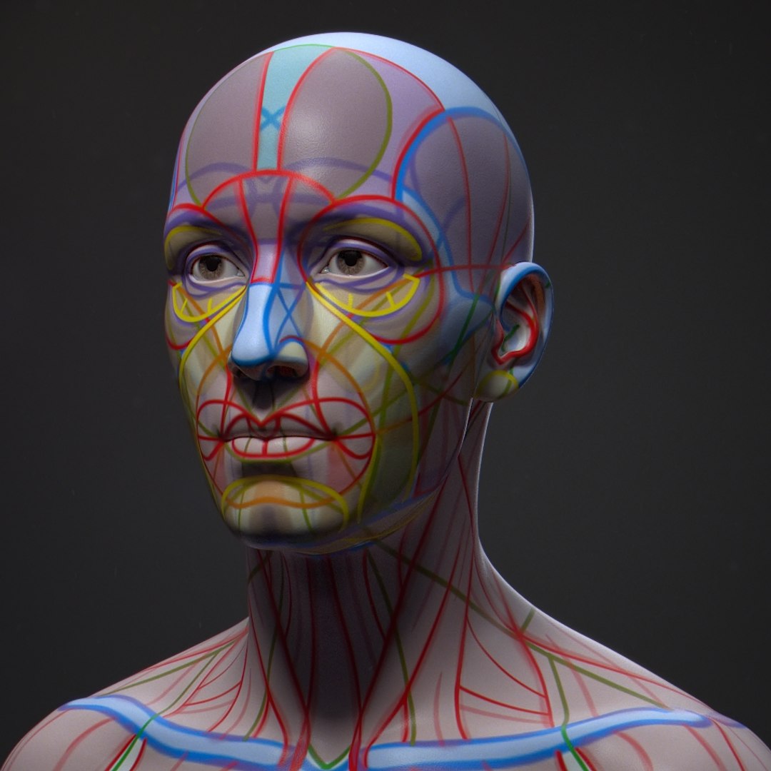 3D model human bust portrait https://p.turbosquid.com/ts-thumb/Ln/jowpww/RqCRyDqw/mask_05/jpg/1594965987/1920x1080/fit_q87/f9bf33aa9c8a6ea35d7c67f2bc914872622da767/mask_05.jpg