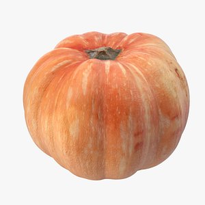 orange pumpkin model