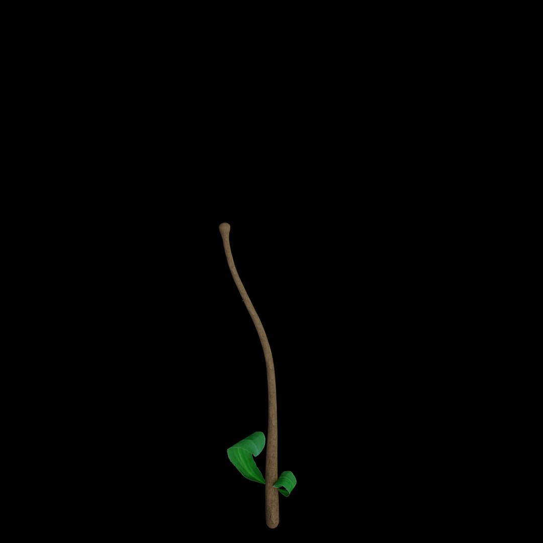 3D flowers open animation model https://p.turbosquid.com/ts-thumb/Ln/o5QURN/17pF0rdw/07/jpg/1593945400/1920x1080/fit_q87/d48872d5ae337404dc2eb3c8f58890c217916232/07.jpg