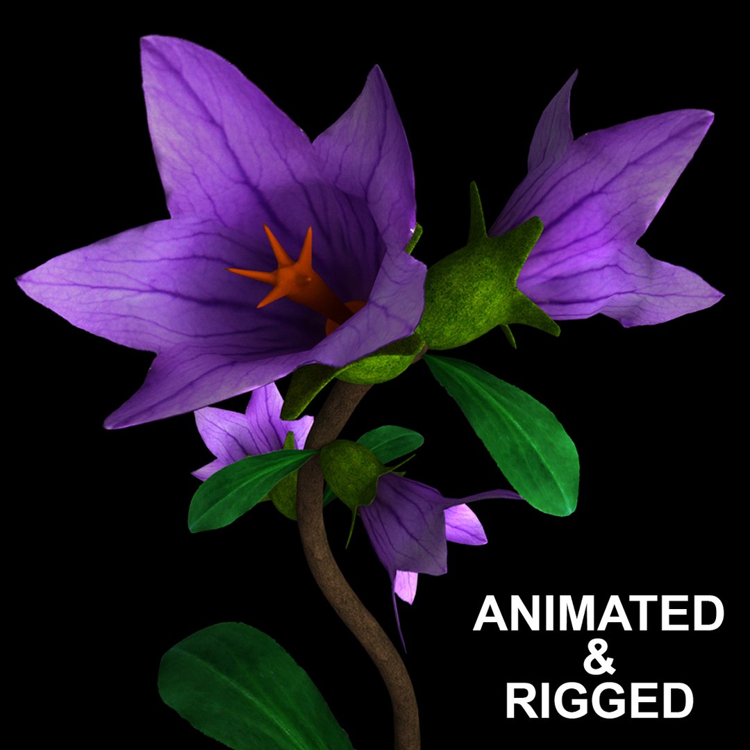 3D Flowers Open Animation Model - TurboSquid 1586575