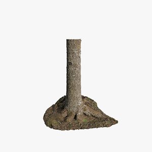 3D model Anydrafts Abies Trunk 06
