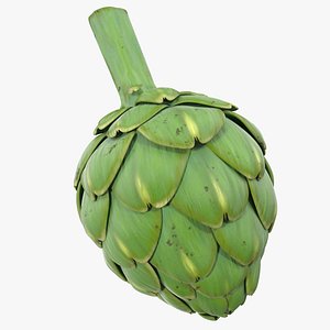 Artichoke