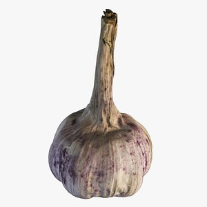 4k Garlic 3D model