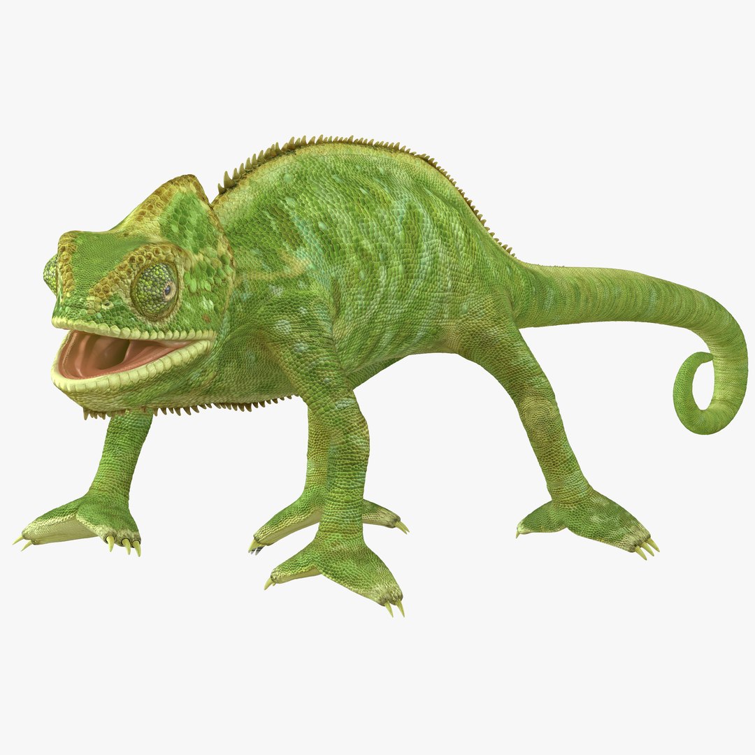 Chameleon Pose 4 3D model preview