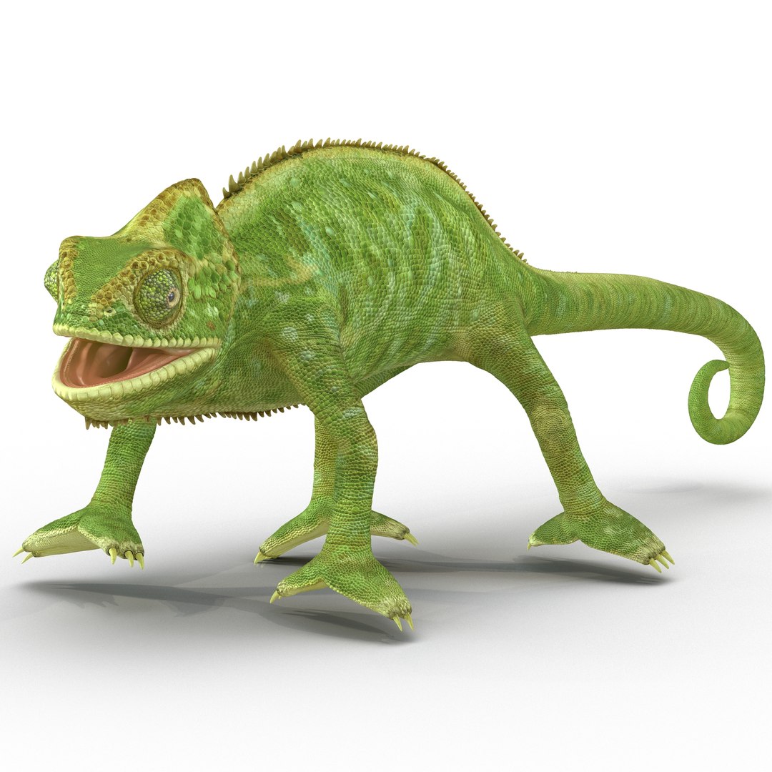 max chameleon pose 4 https://p.turbosquid.com/ts-thumb/Lo/KN1y9x/j0XOdzvL/chameleonobj3dmodel02/jpg/1458309988/1920x1080/fit_q87/0da73e60c4f0e4ec8a914e6d7ec59f6669b2d6af/chameleonobj3dmodel02.jpg