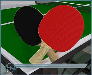 3d 3ds table tennis paddles ping pong