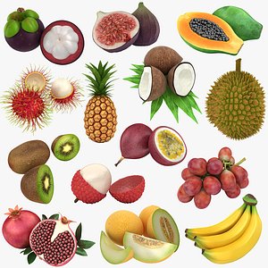 3D tropical fruit model