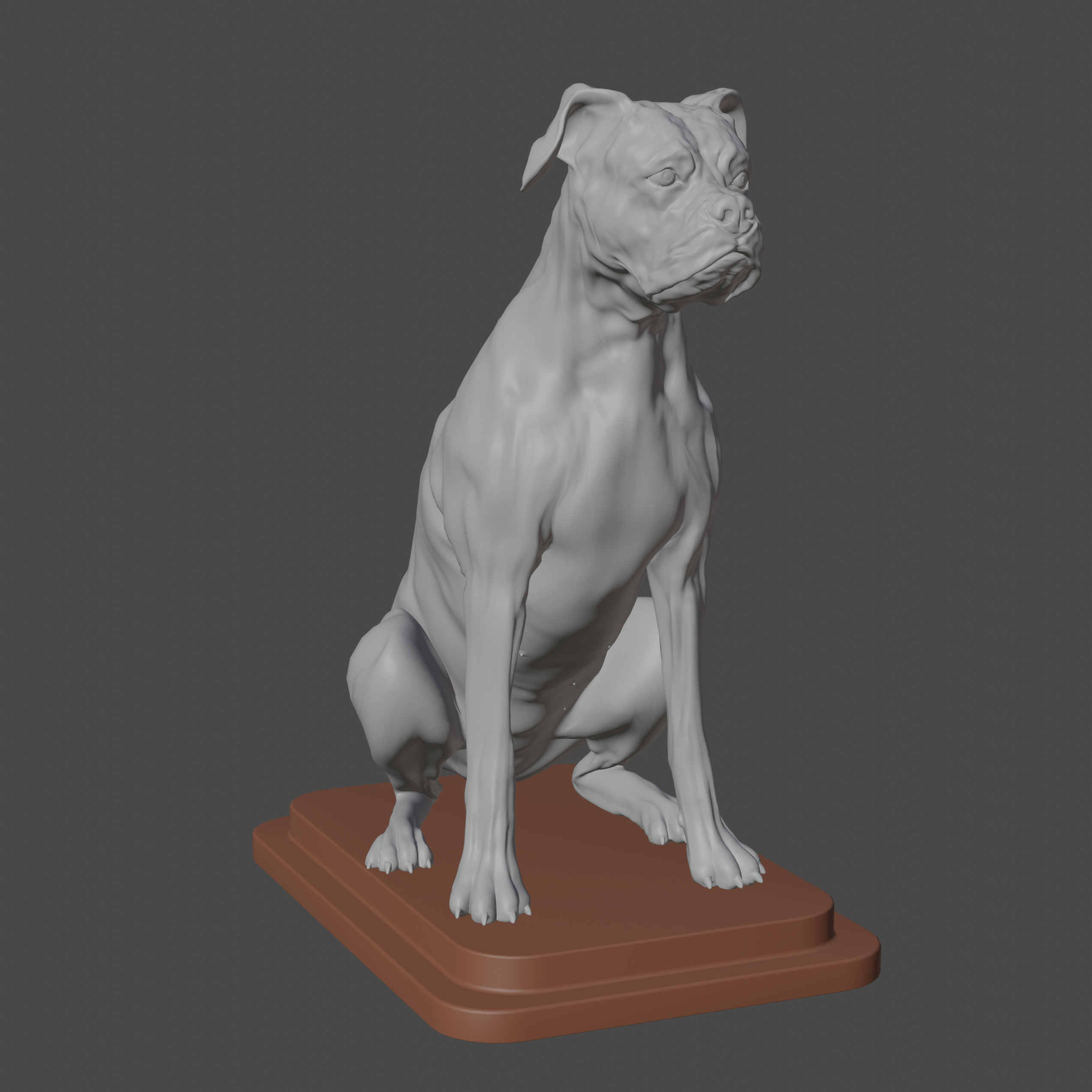 3D boxer print model - TurboSquid 1757889