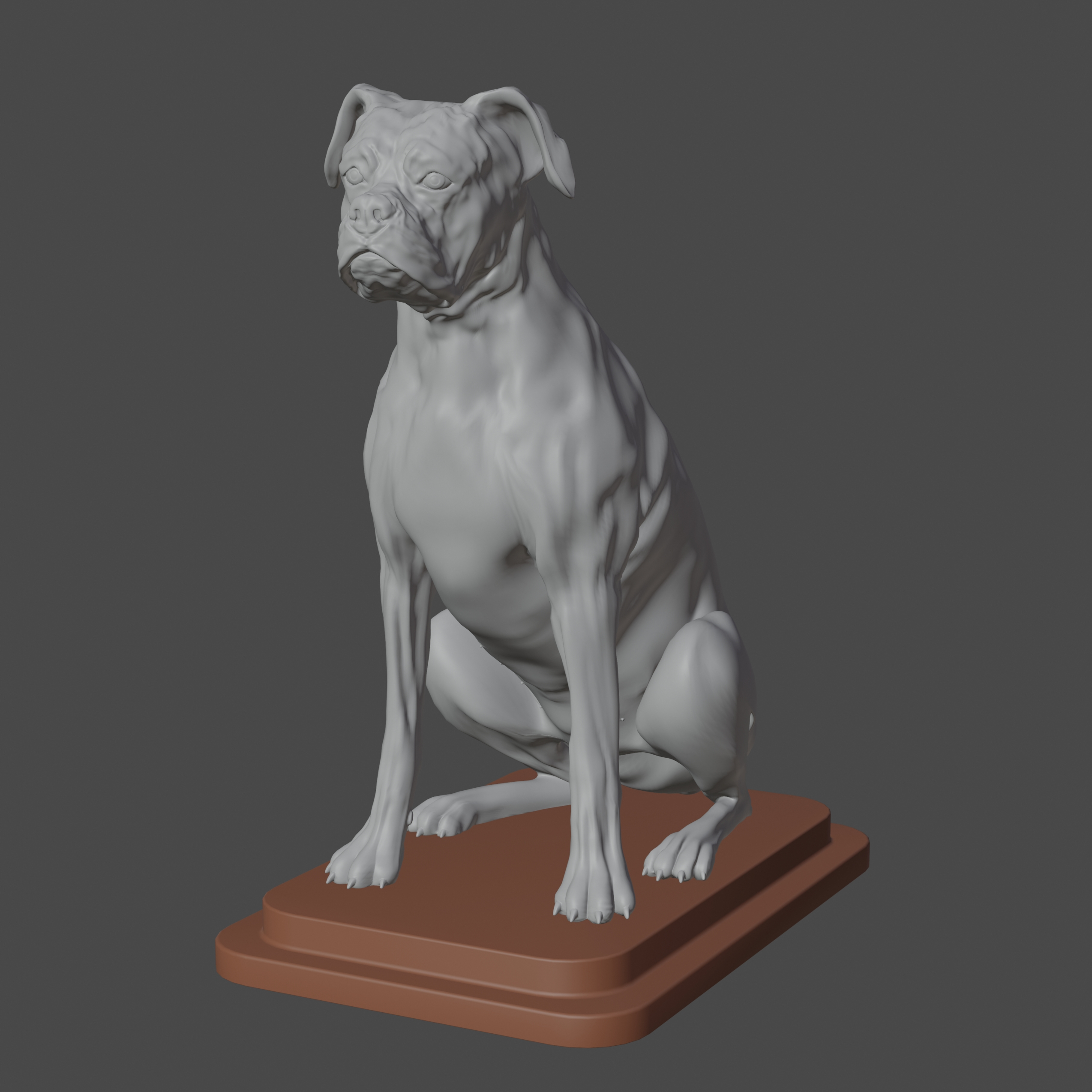 3D boxer print model - TurboSquid 1757889
