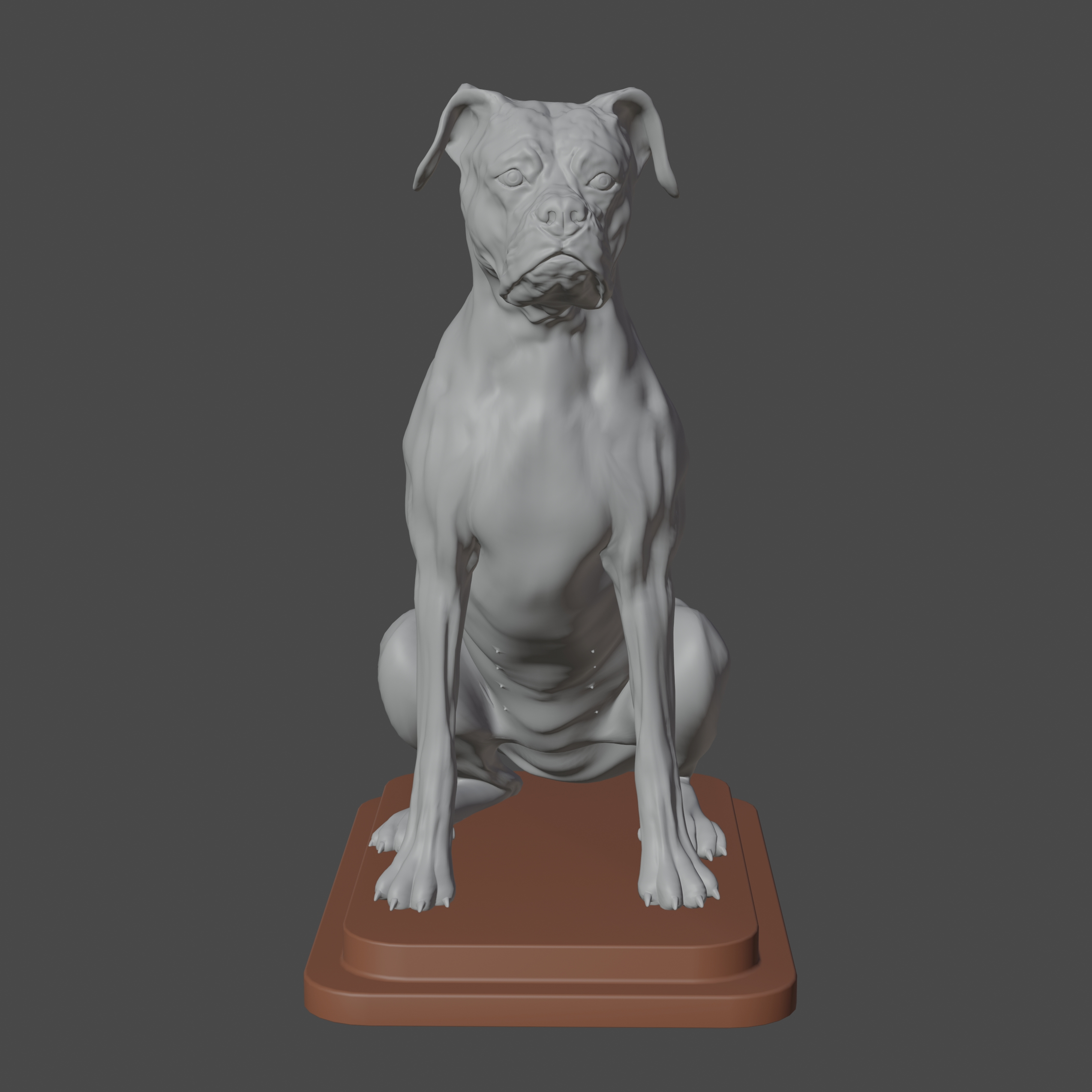 3D boxer print model - TurboSquid 1757889