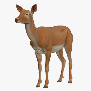 Realistic 3D Deer Model Low Poly PBR
