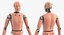 Crash Test Dummy 1