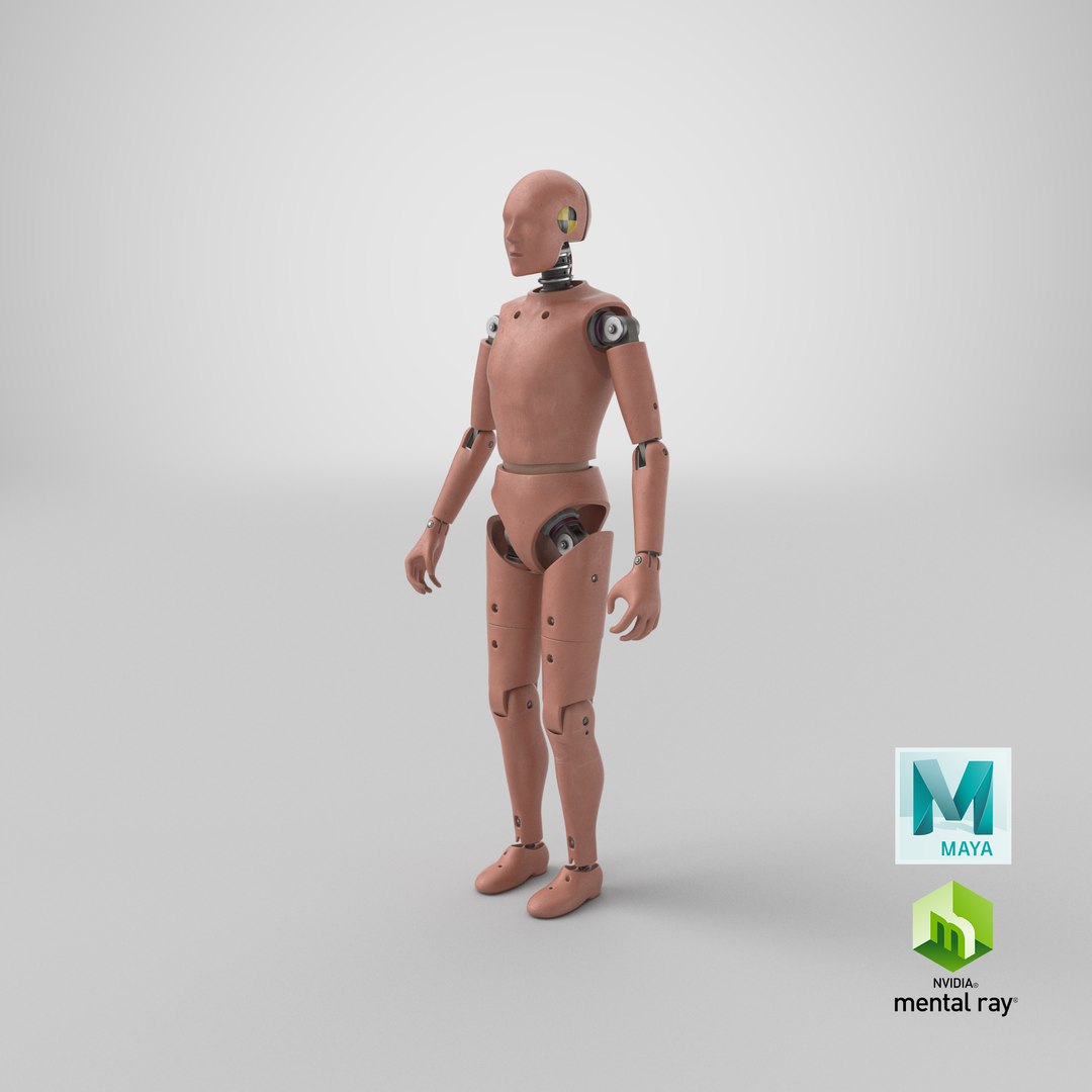 crash test dummy 1 3D model https://p.turbosquid.com/ts-thumb/Lo/yNkc8F/jSyFfmna/stemcell_maya_mental_ray_render/png/1562143003/1920x1080/fit_q87/274066ba84a932024c33089b828d1fce8795c7d9/stemcell_maya_mental_ray_render.jpg