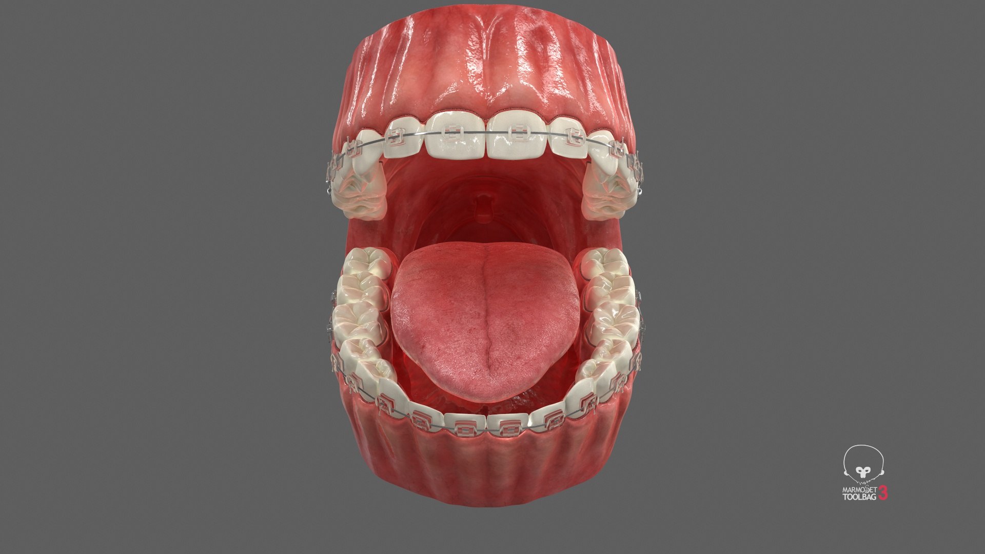 Human Mouth With Transparent Dental Braces V04 3D model https://p.turbosquid.com/ts-thumb/Lo/ypf9UY/dP/screenshot000/jpg/1711971846/1920x1080/fit_q87/e6aca6add4600ab9882b0f2c577a7f753d820afd/screenshot000.jpg