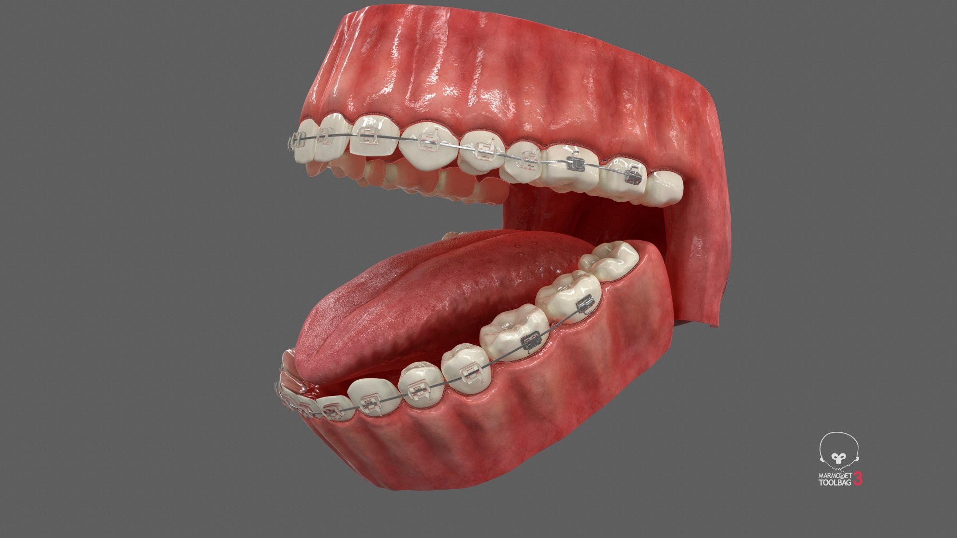 Human Mouth With Transparent Dental Braces V04 3D model https://p.turbosquid.com/ts-thumb/Lo/ypf9UY/g8/screenshot001/jpg/1711971848/1920x1080/fit_q87/f1eaf112dcf7df98e98c6e4fad4f76f2711a3430/screenshot001.jpg