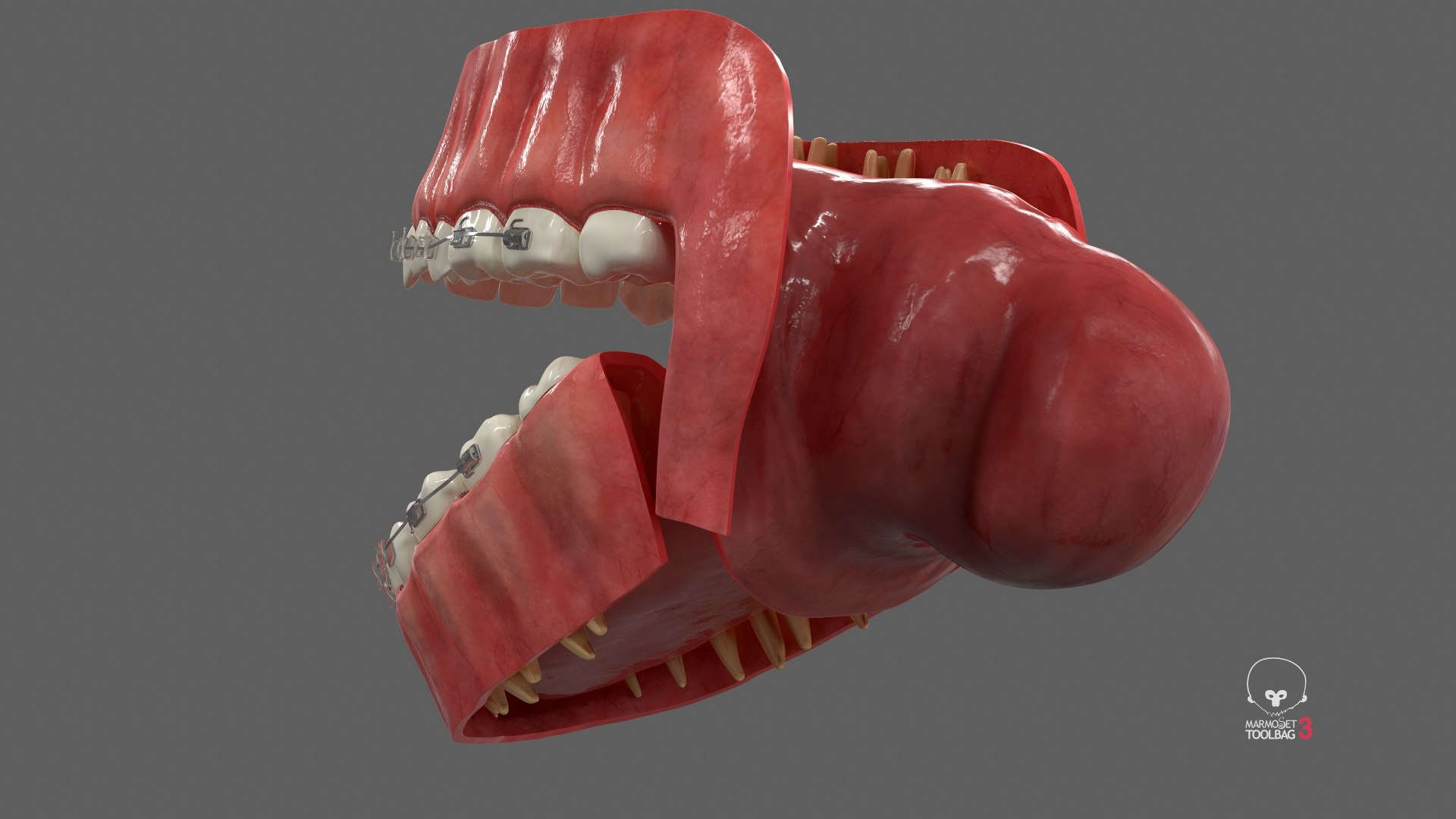 Human Mouth With Transparent Dental Braces V04 3D model https://p.turbosquid.com/ts-thumb/Lo/ypf9UY/iS/screenshot002/jpg/1711971848/1920x1080/fit_q87/89bc727569305bd3636424ec6f7997e1fa69dc94/screenshot002.jpg