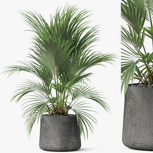 Plants collection 881 model