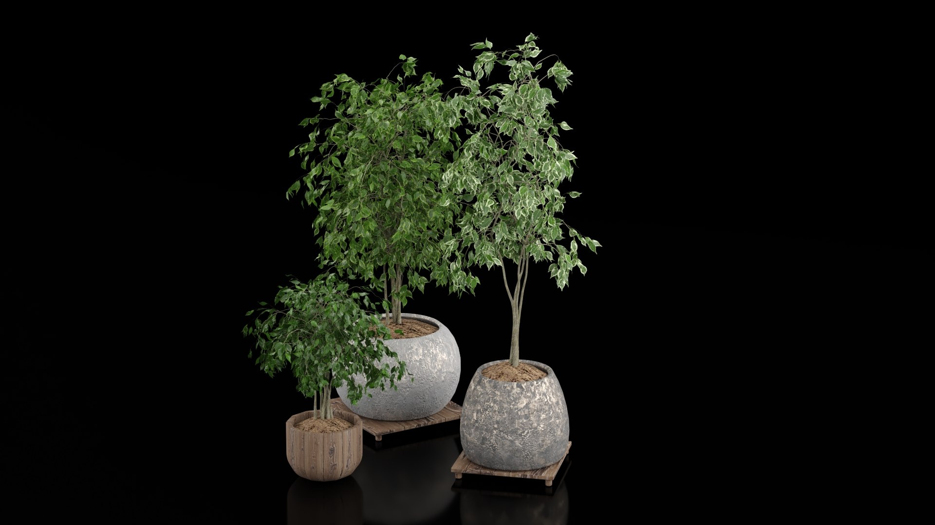 3D Indoor Plants - TurboSquid 2392041