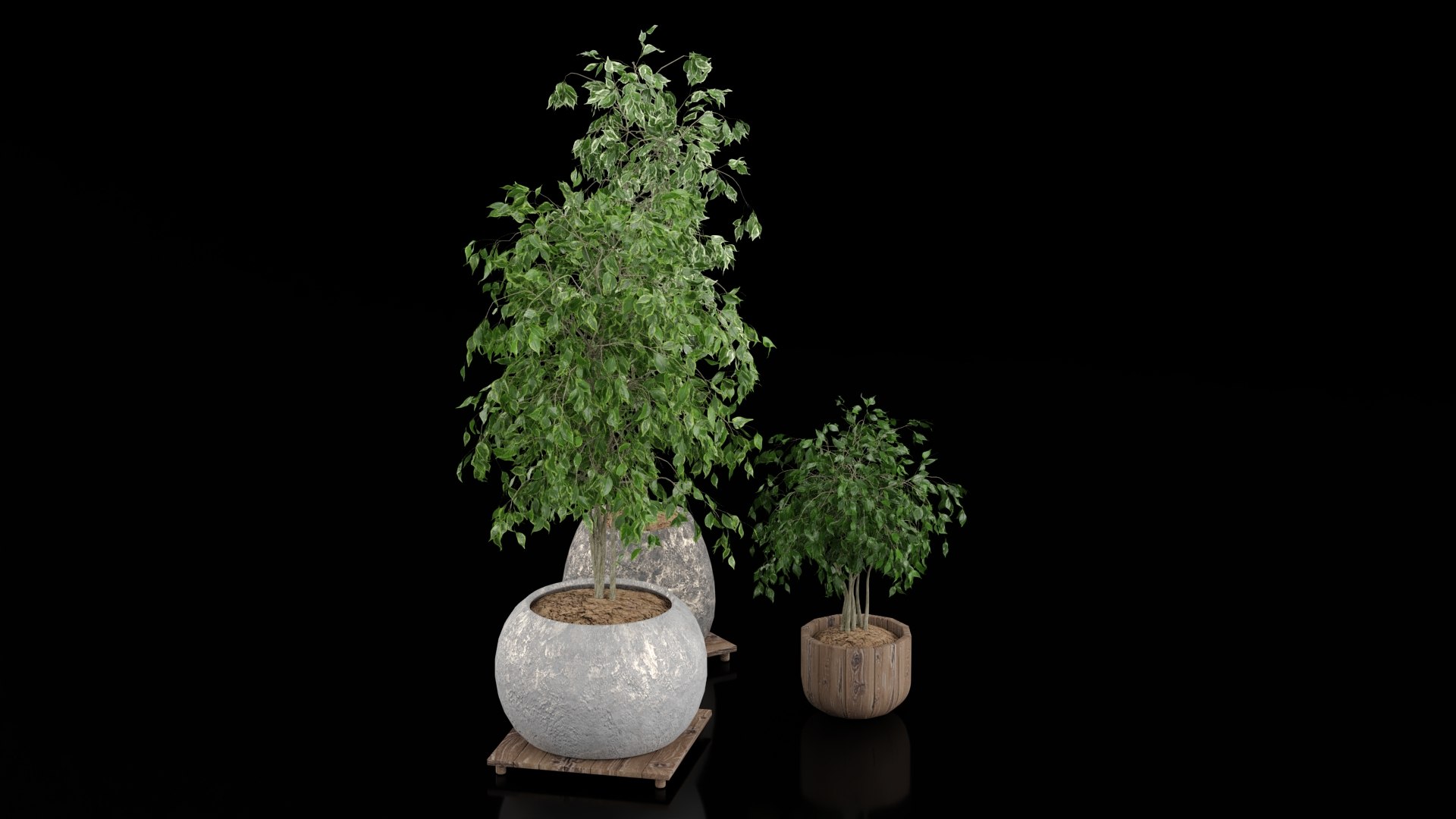 3D Indoor Plants - TurboSquid 2392041