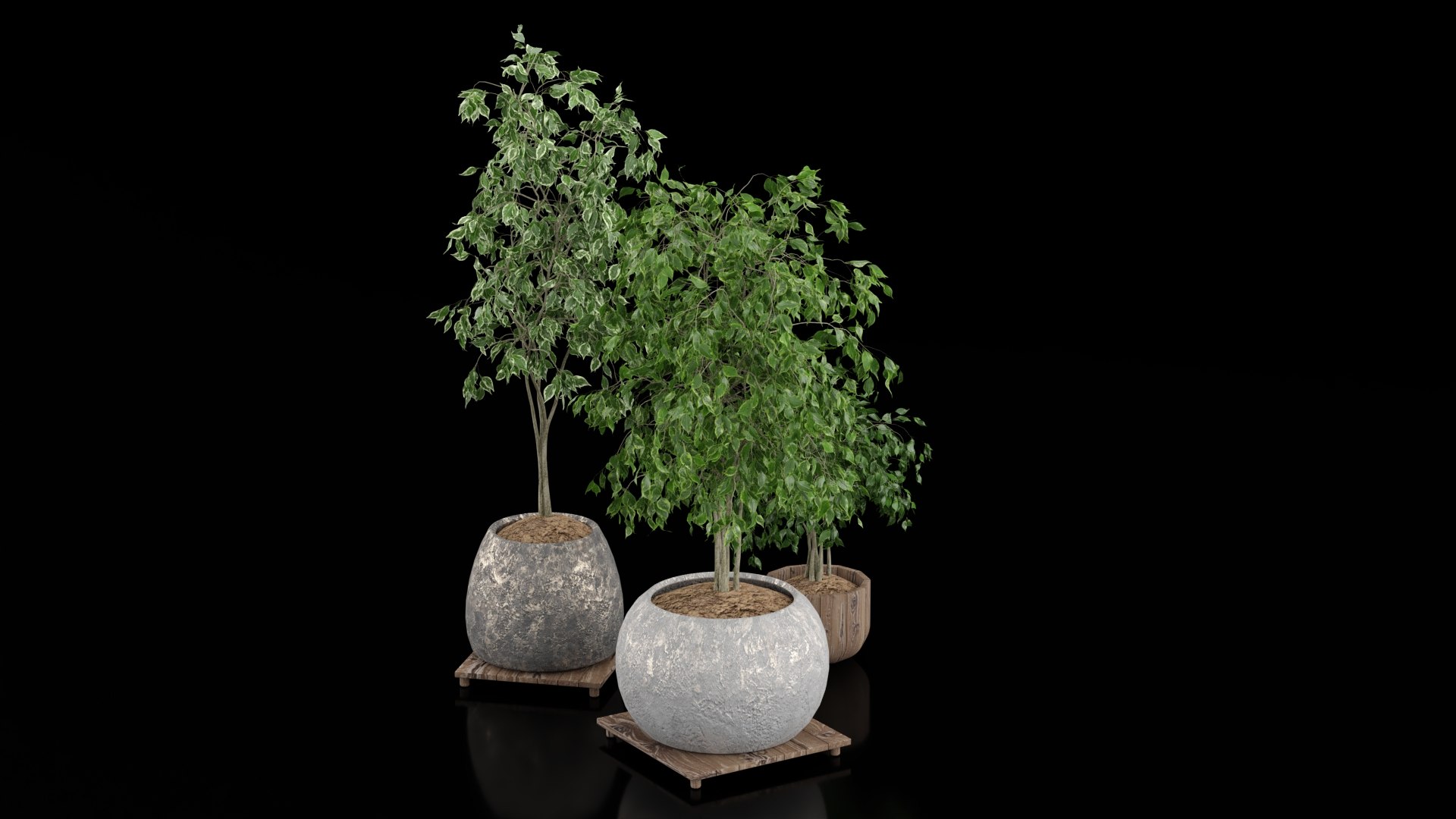 3D Indoor Plants - TurboSquid 2392041