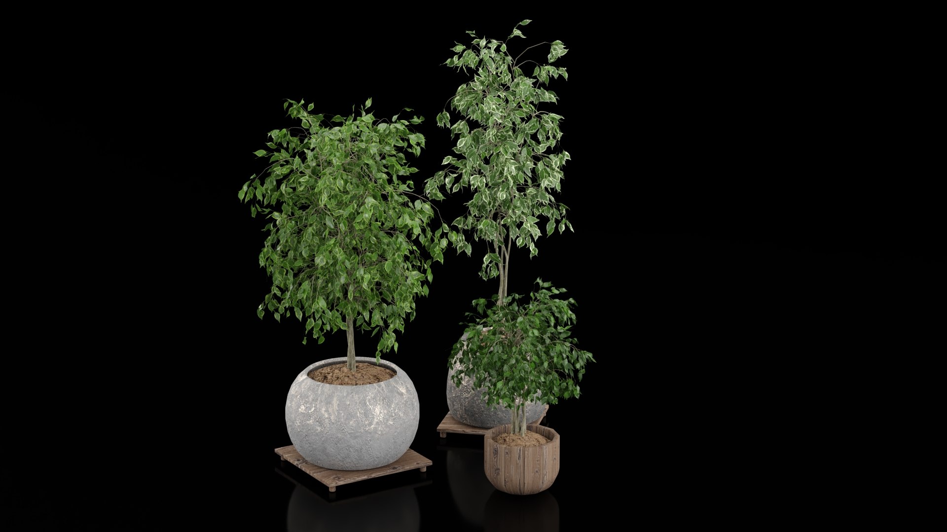 3D Indoor Plants - TurboSquid 2392041