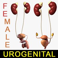 Urogenital Collection / Male / Female