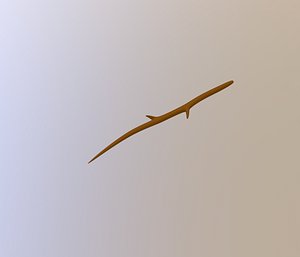 brown stick 3D model