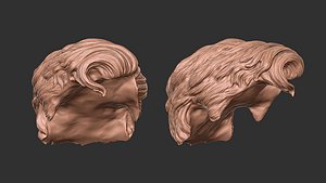 hair 40 3D model