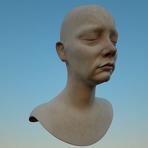 Female head model (OBJ & ZTL) (Mia and her Sisters / Mia)