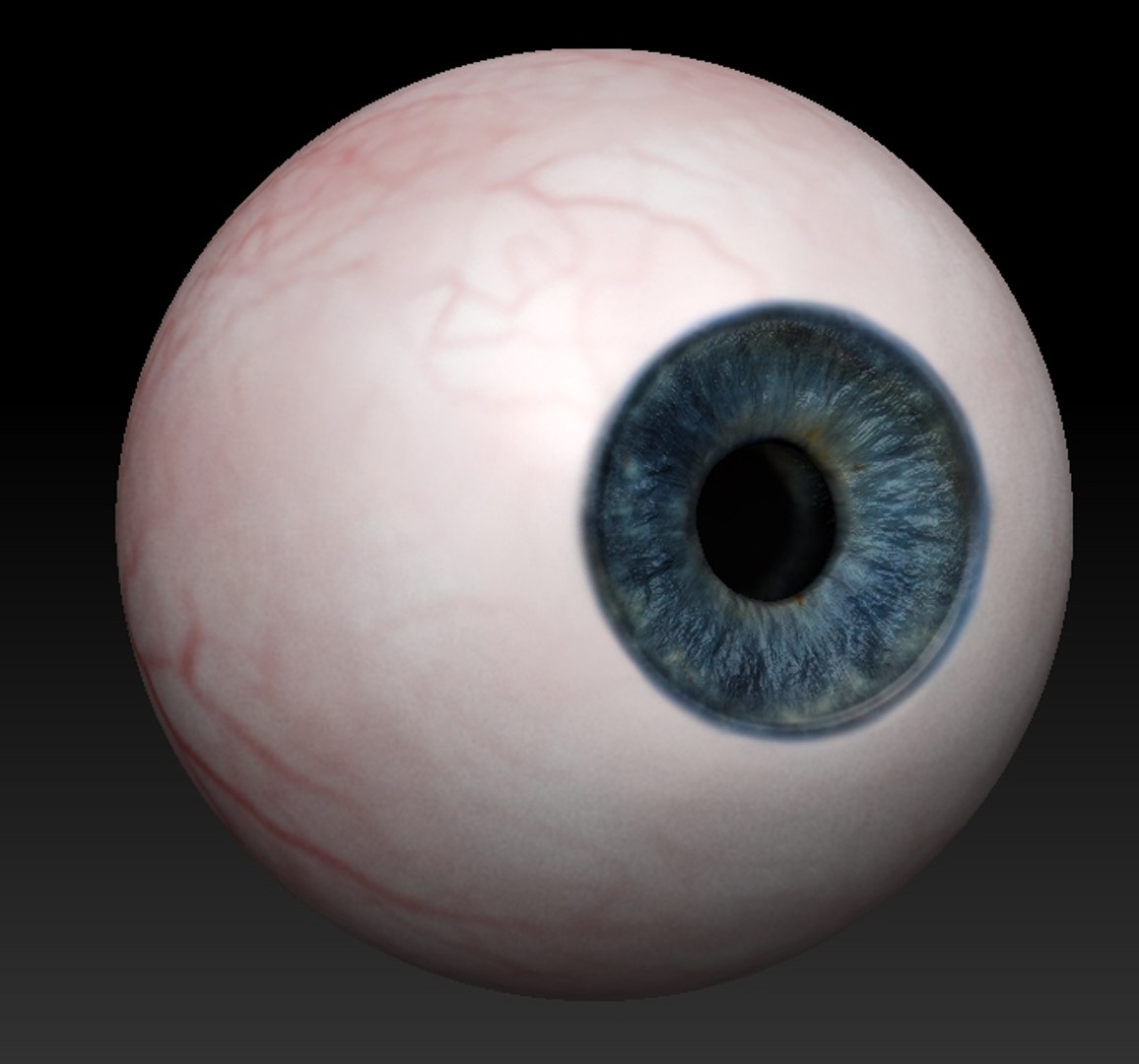 3d eyeball eye model https://p.turbosquid.com/ts-thumb/Lq/G2V41N/ZgKhFF6S/zbrush/jpg/1394481441/1920x1080/fit_q87/c086de0fb2bb113254e09a97d6847e5b3996bbf0/zbrush.jpg