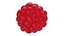 Raspberry 2