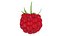 Raspberry 2