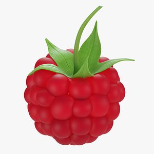 3D Raspberry 2