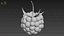 Raspberry 2