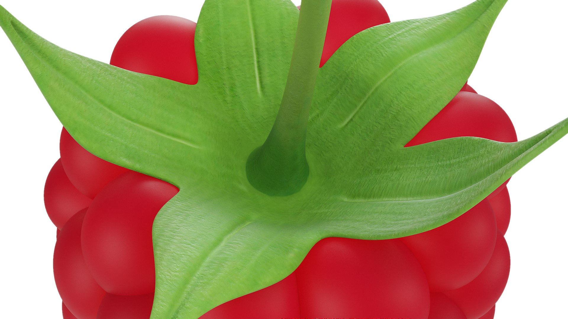 3D Raspberry 2 https://p.turbosquid.com/ts-thumb/Lq/I9OPkB/iX/08/png/1651328917/1920x1080/fit_q87/0360faeb1bb0db41d15733b4cc1605d776f28536/08.jpg